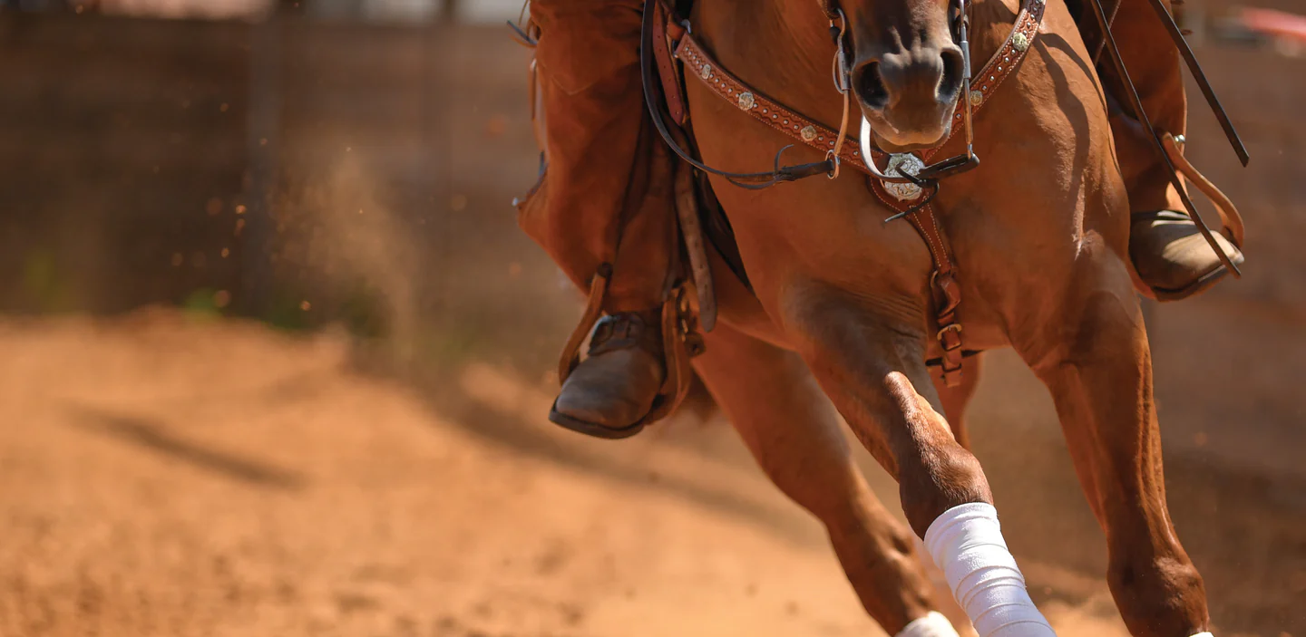 Ride More for Less